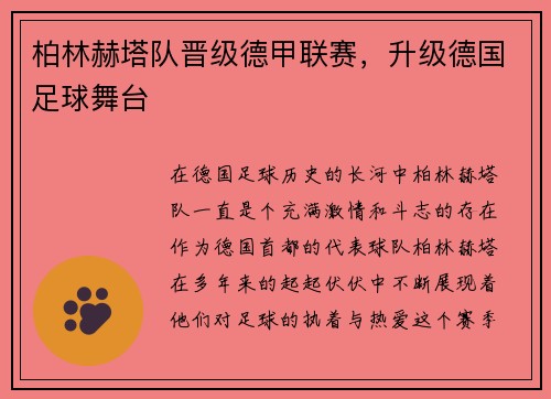 柏林赫塔队晋级德甲联赛，升级德国足球舞台