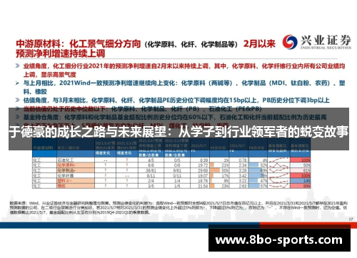于德豪的成长之路与未来展望：从学子到行业领军者的蜕变故事
